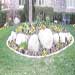 Yard Mulch