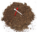 Compost